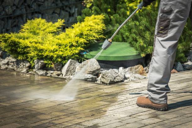 Best Solar Panel Cleaning  in Spring Valley, CA