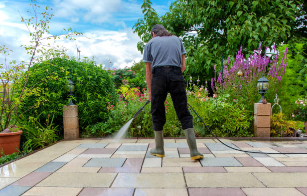 Best Driveway Pressure Washing  in Spring Valley, CA