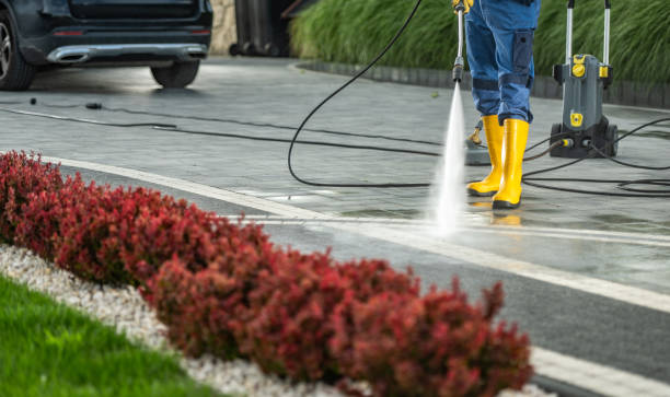 Solar Panel Cleaning in Spring Valley, CA